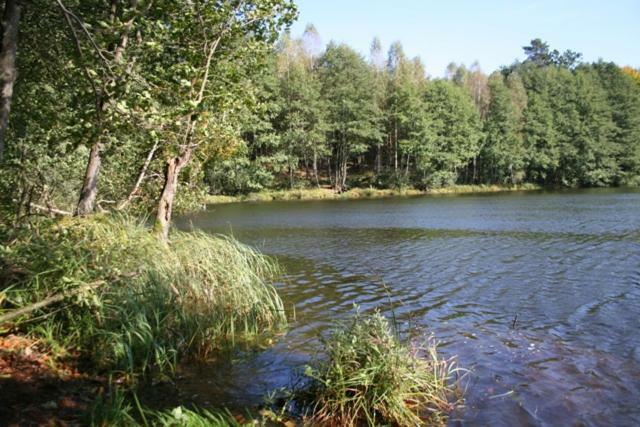 Вилла Bobrowa Przystan Czechyn Экстерьер фото