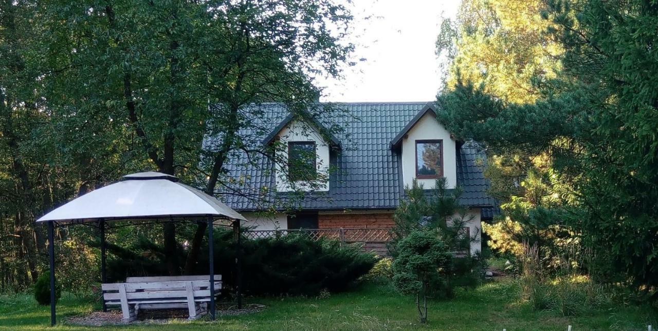 Вилла Bobrowa Przystan Czechyn Экстерьер фото