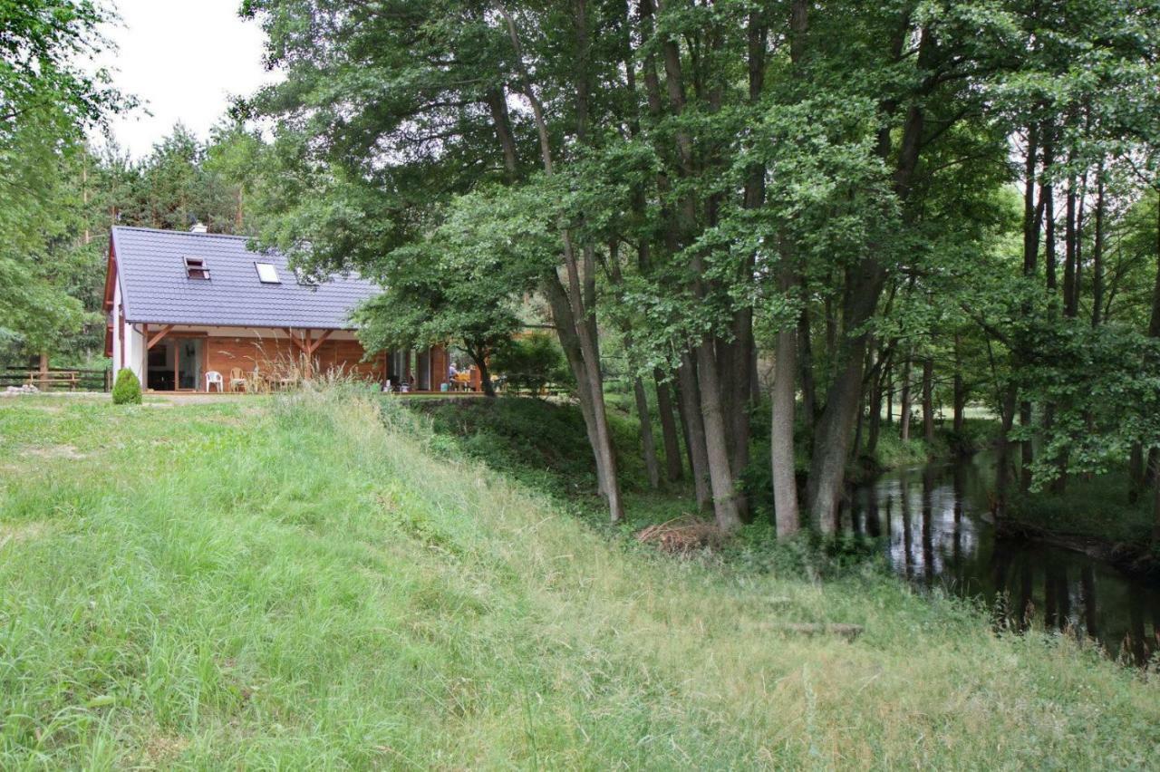 Вилла Bobrowa Przystan Czechyn Экстерьер фото