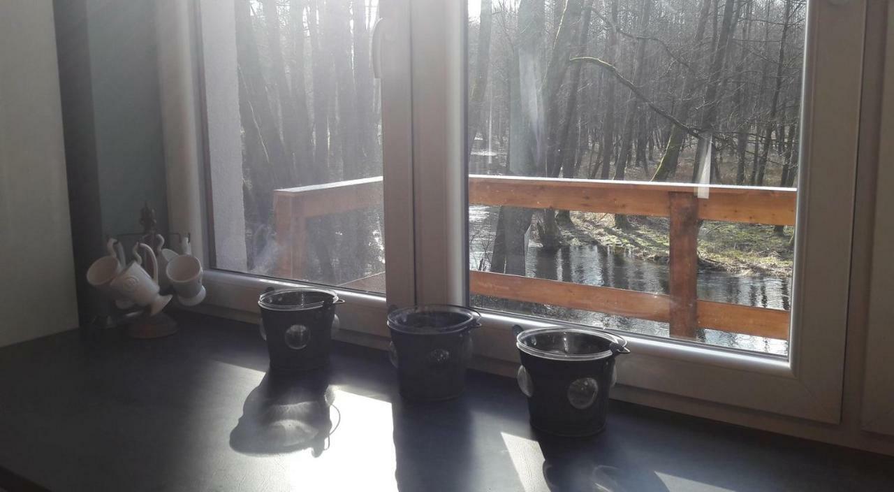 Вилла Bobrowa Przystan Czechyn Экстерьер фото